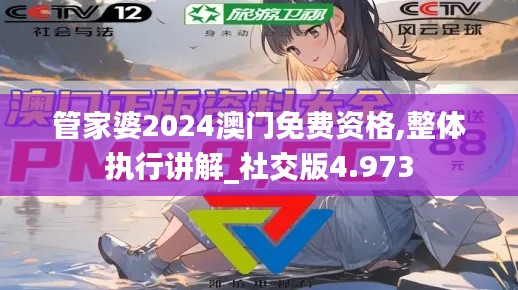 管家婆2024澳门免费资格,整体执行讲解_社交版4.973