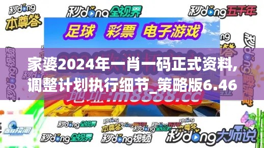 家婆2024年一肖一码正式资料,调整计划执行细节_策略版6.469