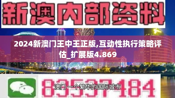 2024新澳门王中王正版,互动性执行策略评估_扩展版4.869