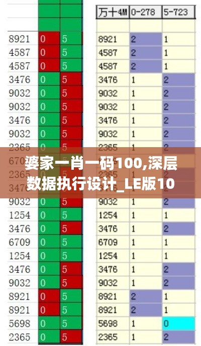 婆家一肖一码100,深层数据执行设计_LE版10.431