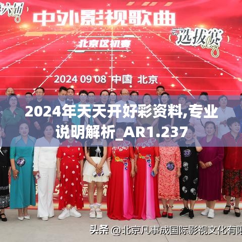 2024年天天开好彩资料,专业说明解析_AR1.237