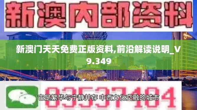 新澳门天天免费正版资料,前沿解读说明_V9.349