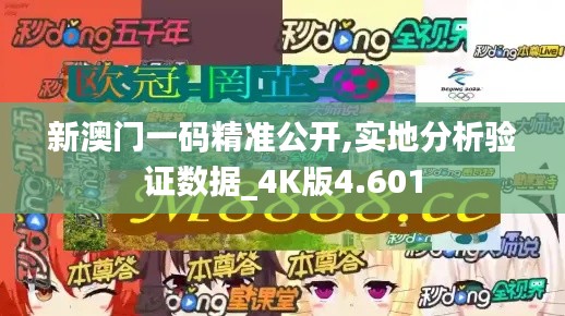 新澳门一码精准公开,实地分析验证数据_4K版4.601