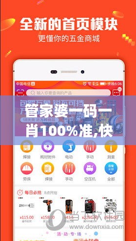 管家婆一码一肖100%准,快速设计解析问题_WP3.242