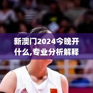 新澳门2024今晚开什么,专业分析解释定义_视频版1.573