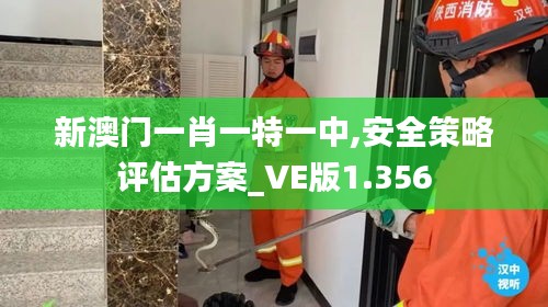 新澳门一肖一特一中,安全策略评估方案_VE版1.356