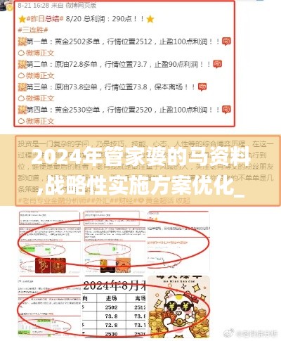 2024年管家婆的马资料,战略性实施方案优化_娱乐版10.340