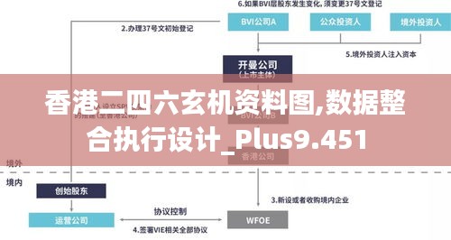 香港二四六玄机资料图,数据整合执行设计_Plus9.451