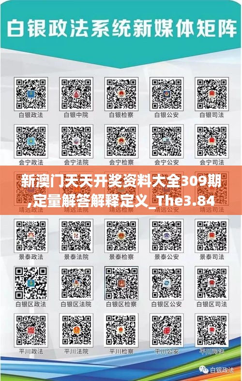 新澳门天天开奖资料大全309期,定量解答解释定义_The3.846