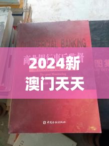 2024新澳门天天开好彩,可靠性策略解析_The2.349