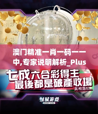 澳门精准一肖一码一一中,专家说明解析_Plus10.347