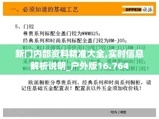 新门内部资料精准大全,实时信息解析说明_户外版16.764