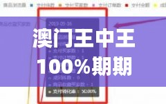 澳门王中王100%期期中,实地执行分析数据_iPad9.174