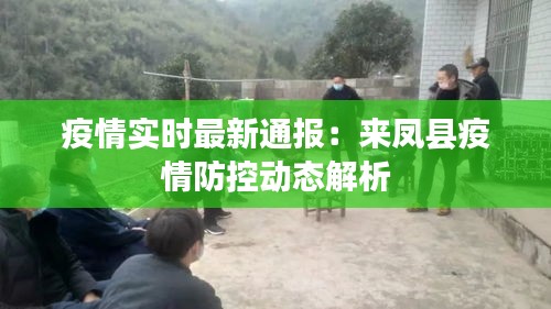 疫情实时最新通报：来凤县疫情防控动态解析