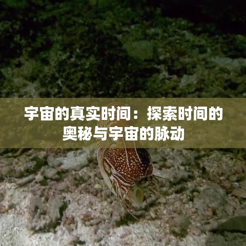 宇宙的真实时间：探索时间的奥秘与宇宙的脉动