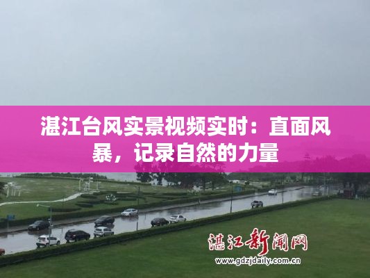 湛江台风实景视频实时：直面风暴，记录自然的力量