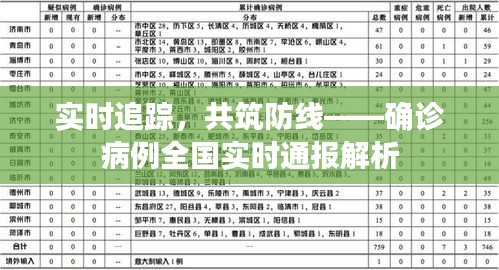 实时追踪，共筑防线——确诊病例全国实时通报解析