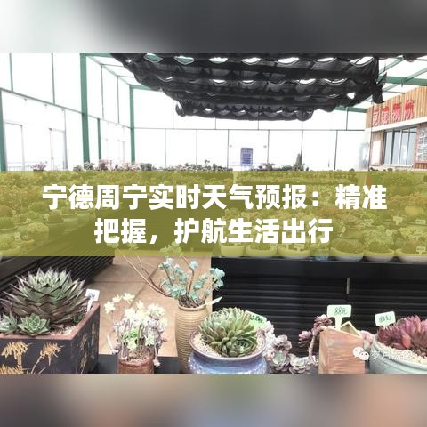 普度众生 第2页