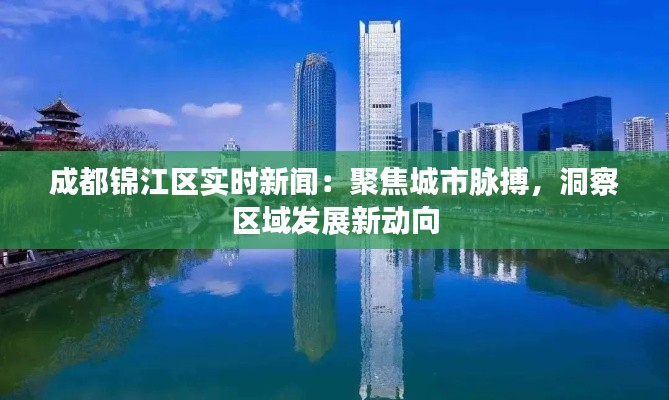 成都锦江区实时新闻：聚焦城市脉搏，洞察区域发展新动向