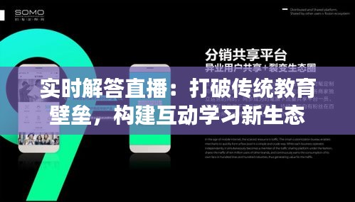 实时解答直播：打破传统教育壁垒，构建互动学习新生态