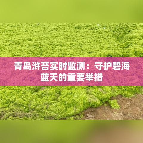 青岛浒苔实时监测：守护碧海蓝天的重要举措