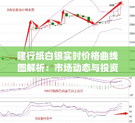 建行纸白银实时价格曲线图解析：市场动态与投资策略