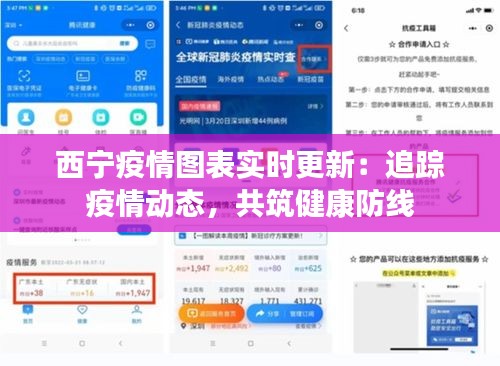 西宁疫情图表实时更新：追踪疫情动态，共筑健康防线