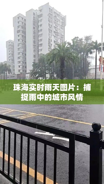 珠海实时雨天图片：捕捉雨中的城市风情