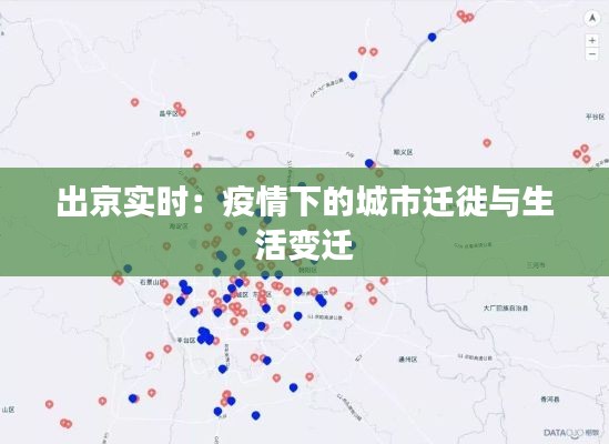 出京实时：疫情下的城市迁徙与生活变迁