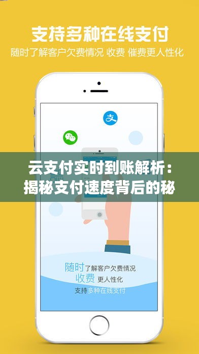 云支付实时到账解析：揭秘支付速度背后的秘密