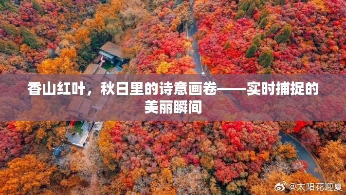 香山红叶，秋日里的诗意画卷——实时捕捉的美丽瞬间