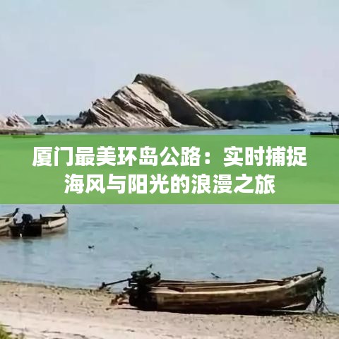 厦门最美环岛公路：实时捕捉海风与阳光的浪漫之旅