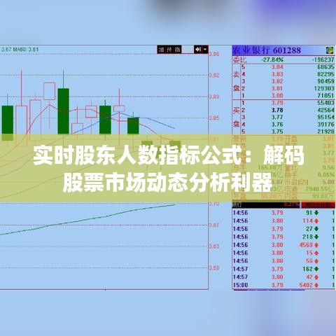 实时股东人数指标公式：解码股票市场动态分析利器