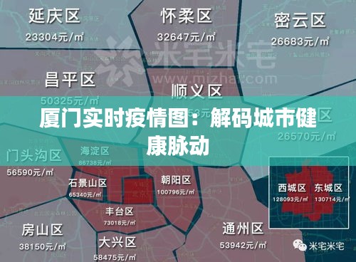 厦门实时疫情图：解码城市健康脉动