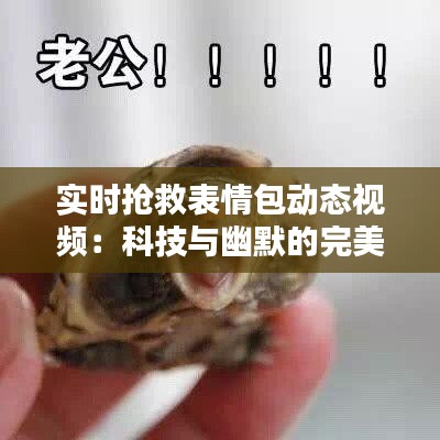 实时抢救表情包动态视频：科技与幽默的完美融合