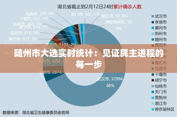 随州市大选实时统计：见证民主进程的每一步