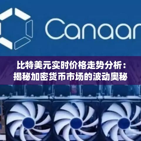 比特美元实时价格走势分析：揭秘加密货币市场的波动奥秘