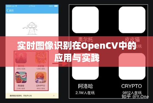 实时图像识别在OpenCV中的应用与实践