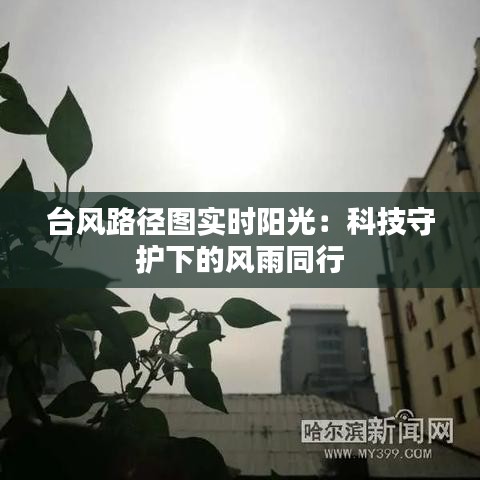 台风路径图实时阳光：科技守护下的风雨同行