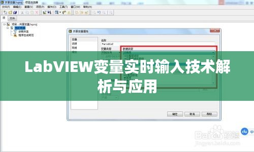 LabVIEW变量实时输入技术解析与应用