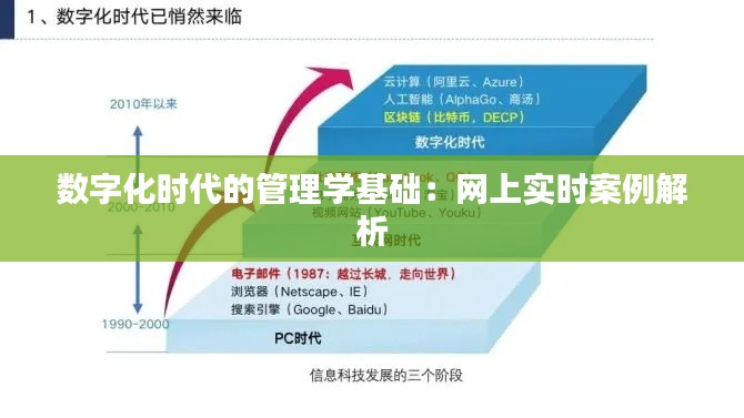 数字化时代的管理学基础：网上实时案例解析