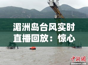 湄洲岛台风实时直播回放：惊心动魄的生死较量