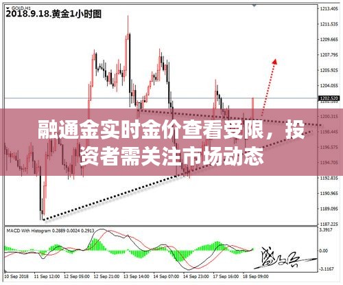 融通金实时金价查看受限，投资者需关注市场动态