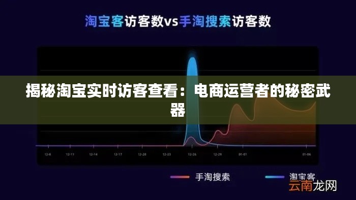 揭秘淘宝实时访客查看：电商运营者的秘密武器