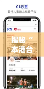 揭秘“本港台实时报码66”：揭秘香港实时信息传播的神秘力量