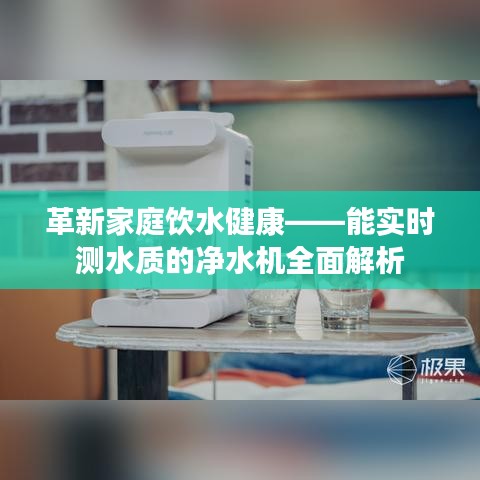 革新家庭饮水健康——能实时测水质的净水机全面解析