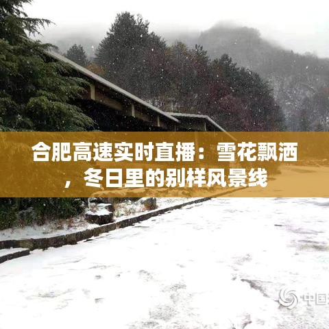 合肥高速实时直播：雪花飘洒，冬日里的别样风景线