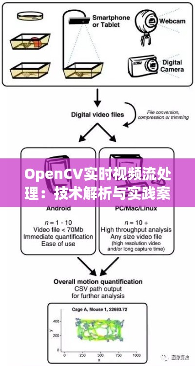 OpenCV实时视频流处理：技术解析与实践案例