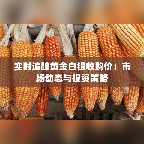 实时追踪黄金白银收购价：市场动态与投资策略