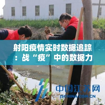 射阳疫情实时数据追踪：战“疫”中的数据力量